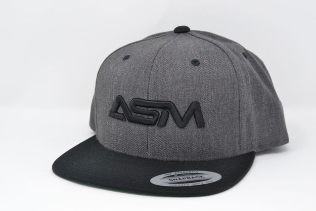 ASM Flat brimmed hat - Gray with black logo