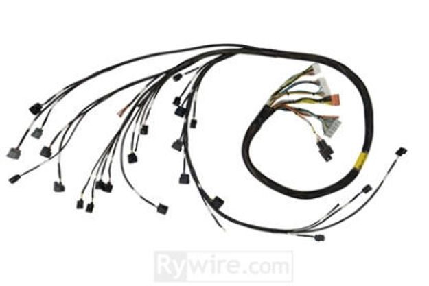 Picture of RyWire K-Series Rear Wheel Drive Engine Harness, Milspec