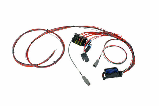 Picture of AEM 5 Series Infinity-6/8h Mini-Harness. Pre-wired power, grounds, power relay, fuse box, single wideband & AEMnet.