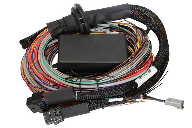Picture of Haltech Elite 1500 8ft Premium Universal Wire-In Harness