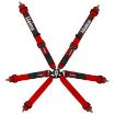 Picture of Copse 6pt FIA 8853:2018 Harness - 2" - Snap Hook or Bolt-In, Pull-Down - Red